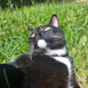 Meet your Posher, Karine